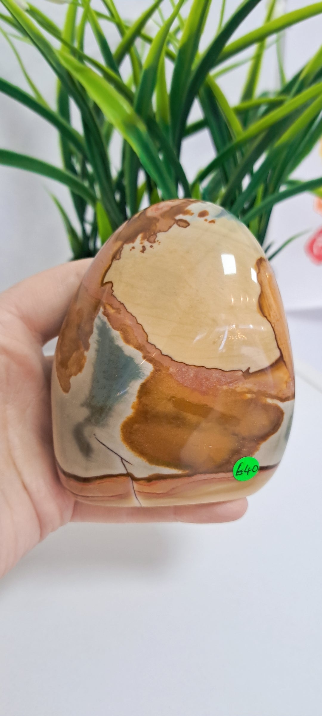 Polychrome Jasper freeform