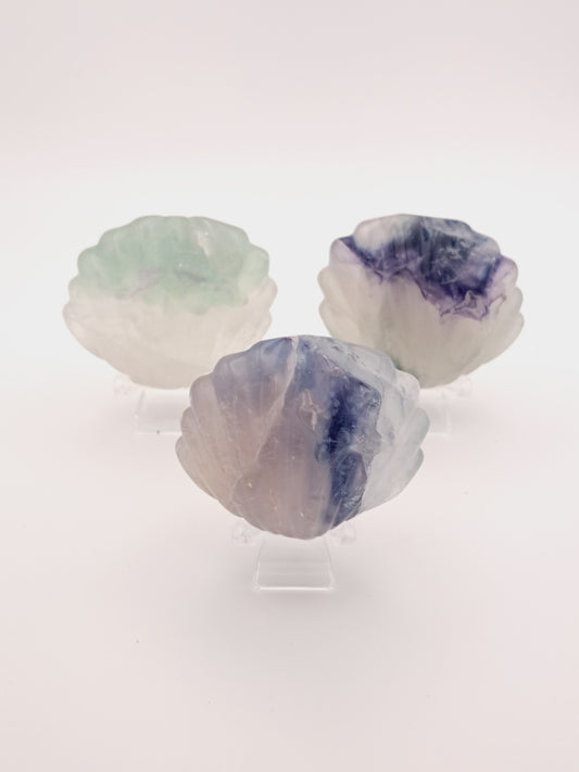 Large Fluorite clam