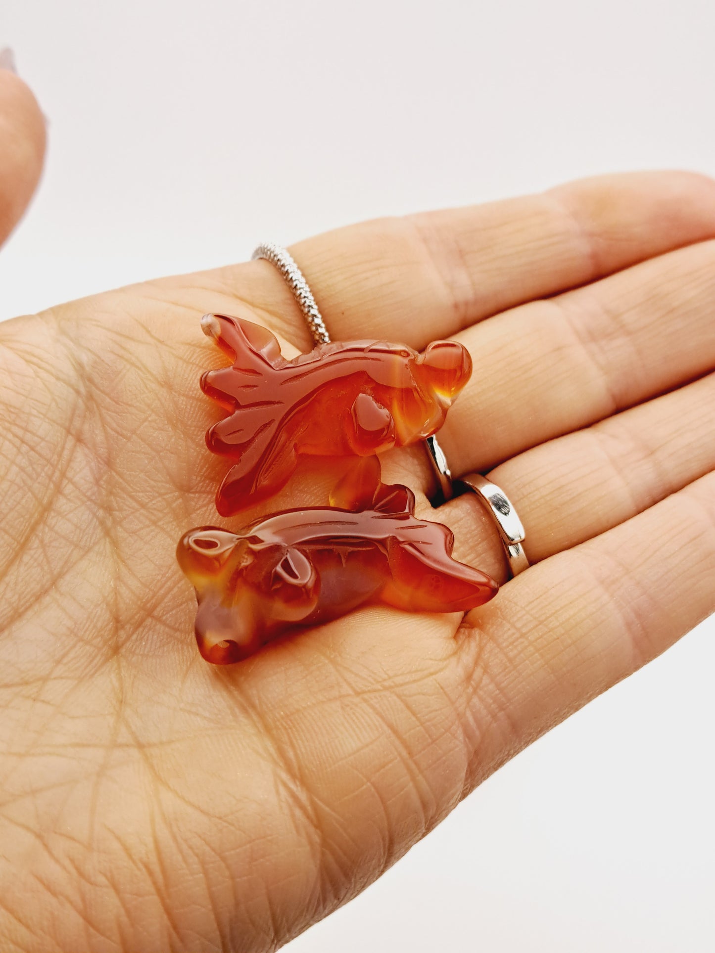 Carnelian fish