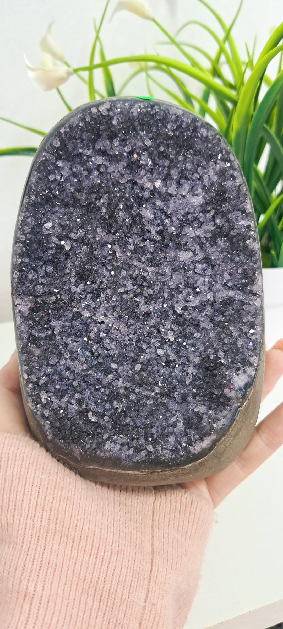 Amethyst Cut base