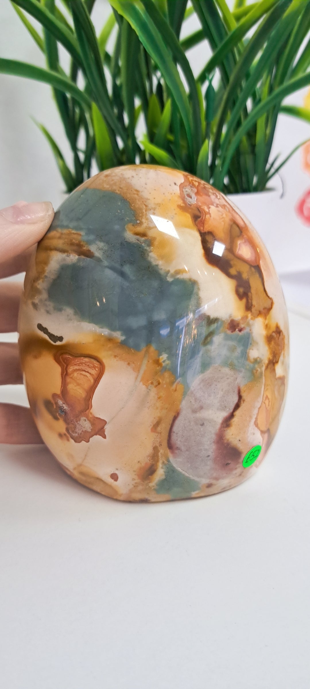 Polychrome Jasper freeform