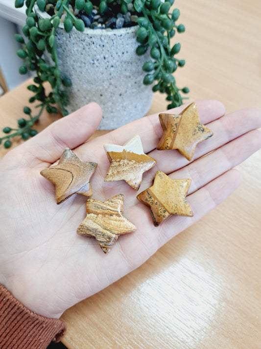 Petrified wood star