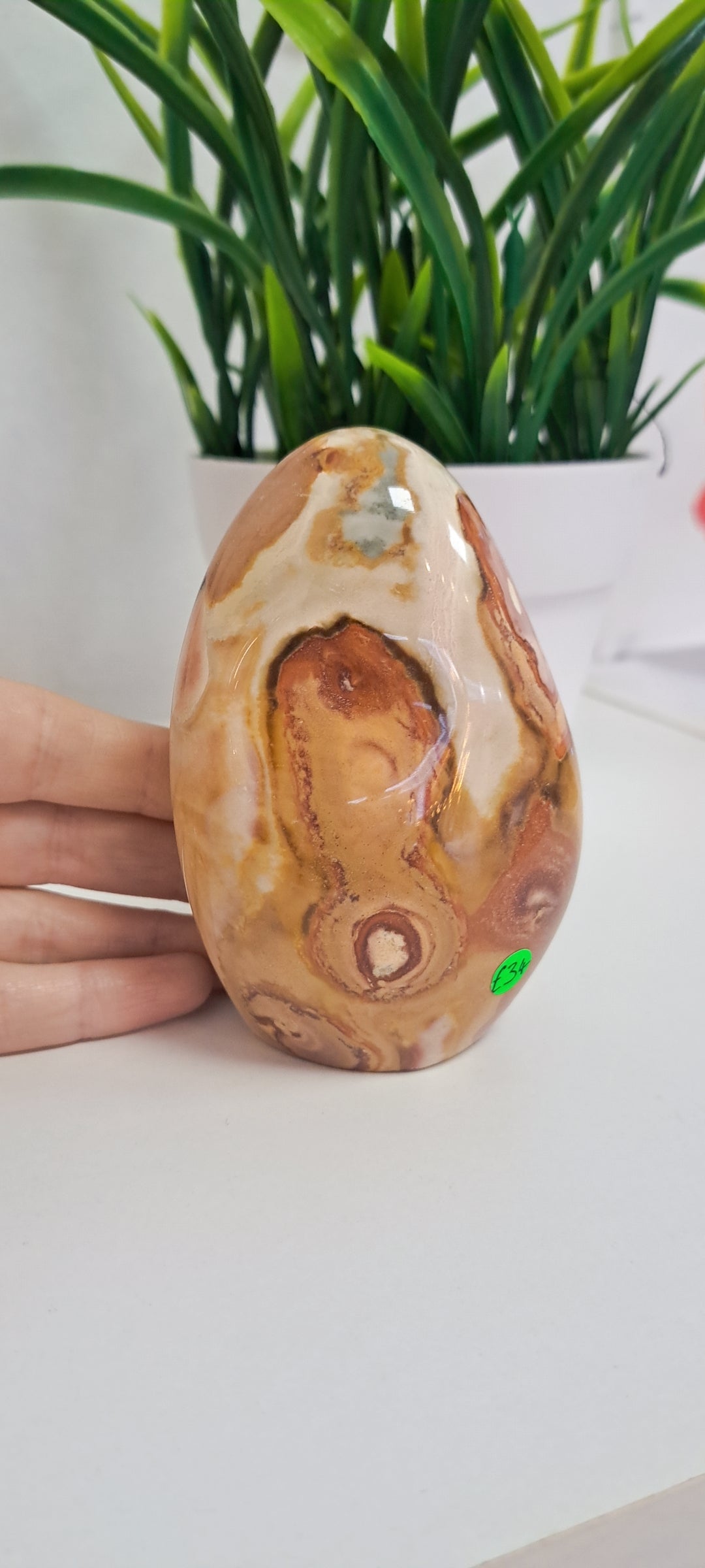 Polychrome Jasper freeform